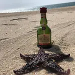 Гостевой дом Stella Di Mare Local *