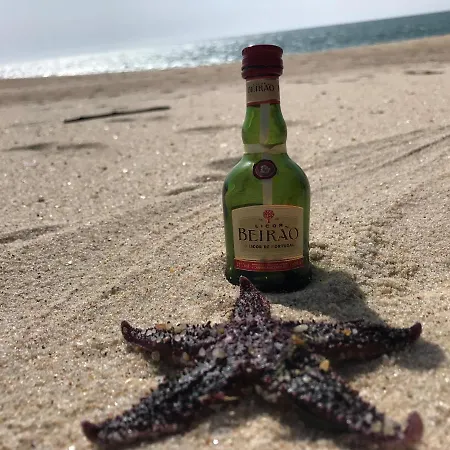 Πανσιόν Stella Di Mare *