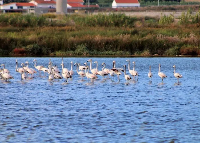 Stella Di Mare Local フィゲイラ・ダ・フォズ