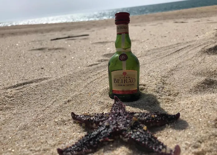 ゲストハウス Stella Di Mare Local *