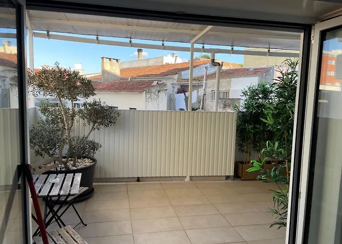 Stella Di Mare Local *